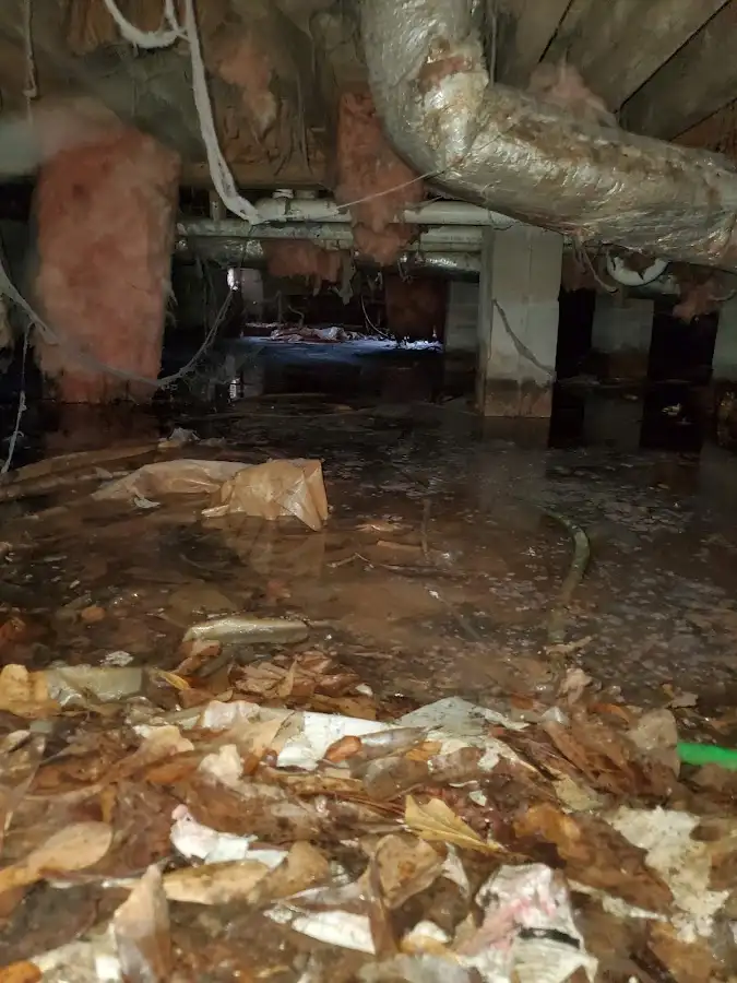 Crawl space flood assessment for Leak Detection & Repair in Raymond